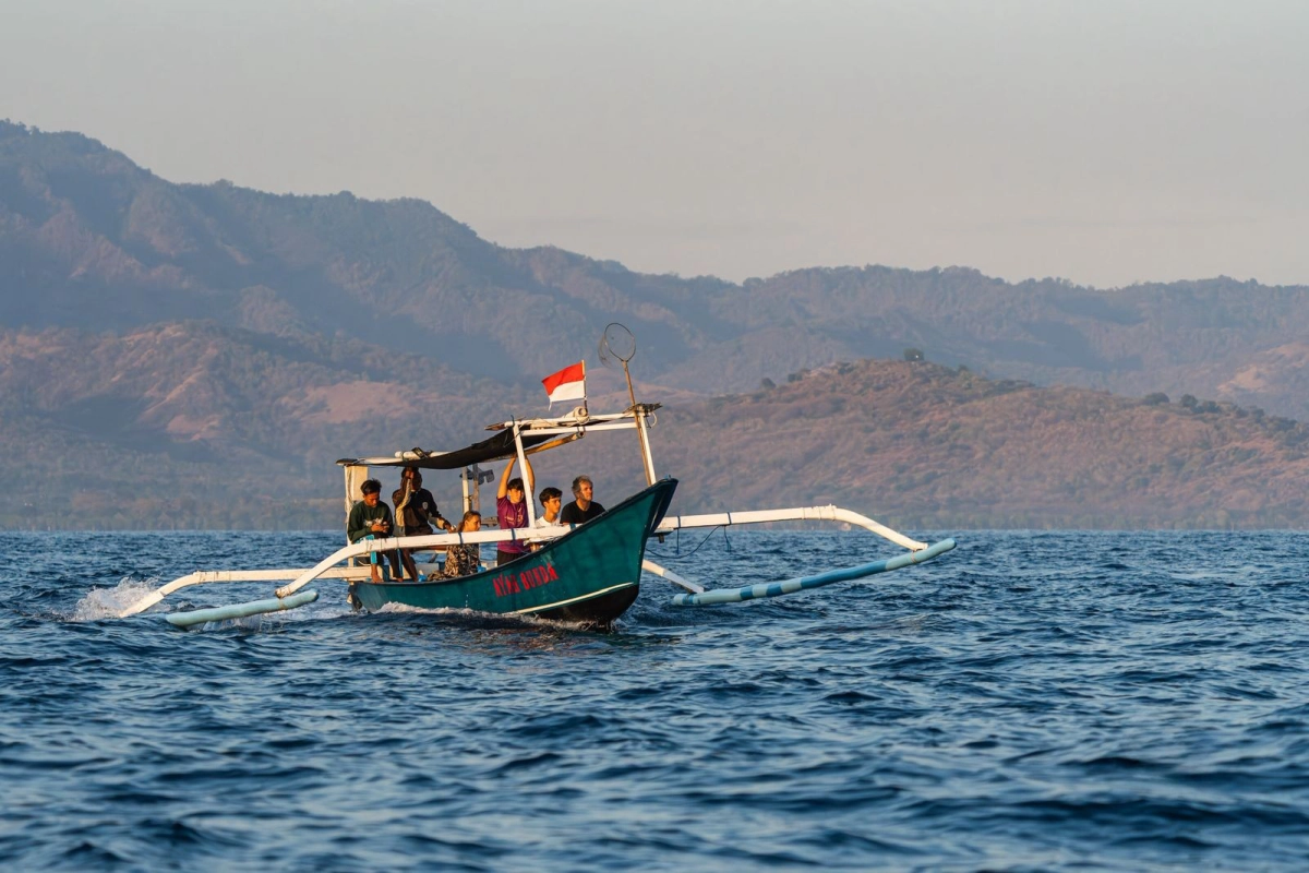 Blue Dolph Pemuteran dolphin watching and snorkeling boat tour