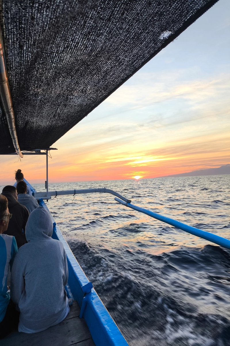Ethical Dolphin Watching Tour Pemuteran Bali