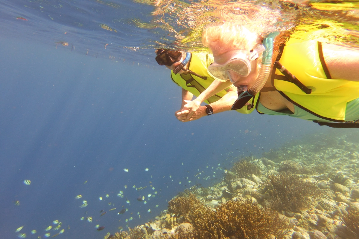 Snorkeling coral reef