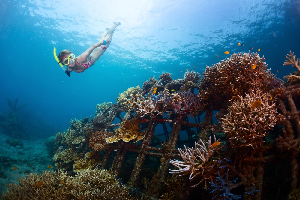 Snorkeling Pemuteran Bay Bali